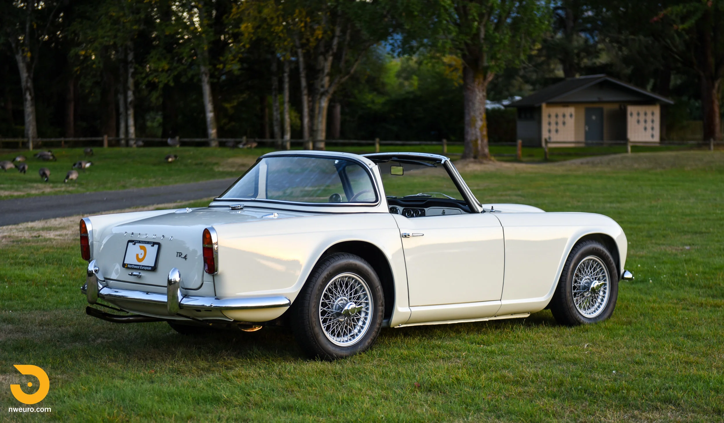 1965 Triumph TR4A — Northwest European